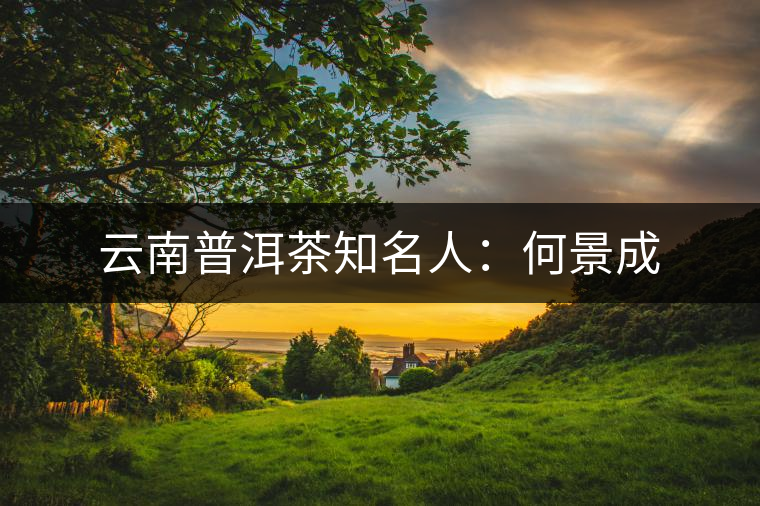 云南普洱茶知名人:何景成 云南普洱茶知名人:何景成