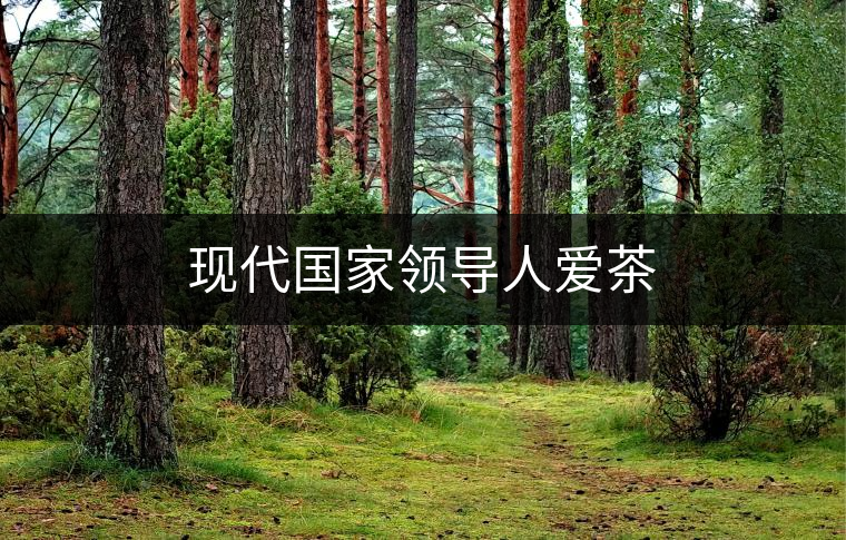 現代國家領導人愛茶 現代國家領導人愛茶