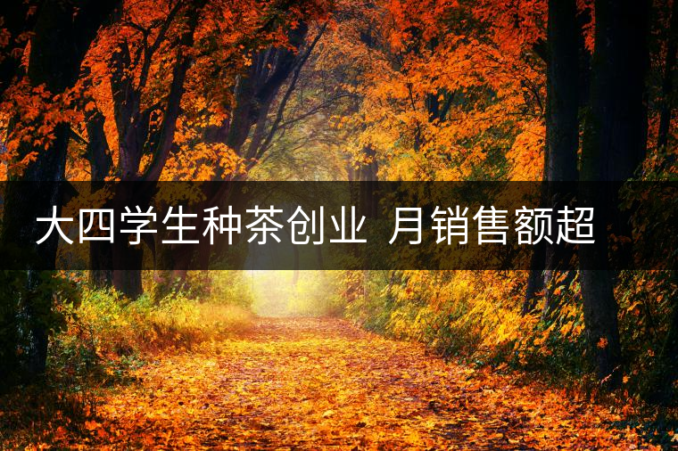 大四學生種茶創業 月銷售額超五十萬 大四學生種茶創業 月銷售額超五十萬