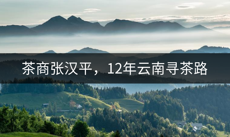 茶商張漢平，12年云南尋茶路