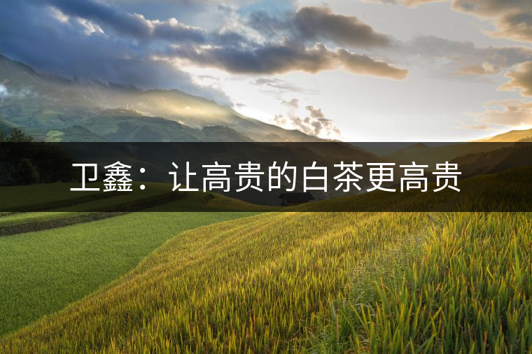 衛(wèi)鑫:讓高貴的白茶更高貴 衛(wèi)鑫:讓高貴的白茶更高貴