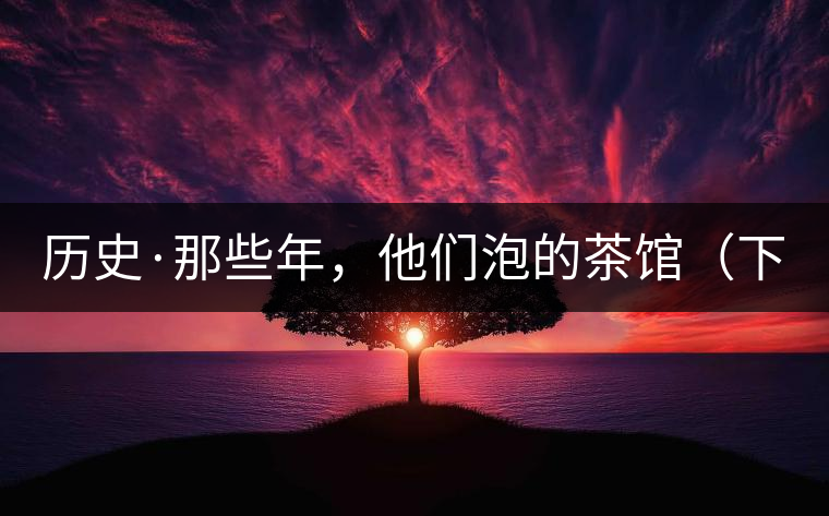 歷史·那些年，他們泡的茶館（下）