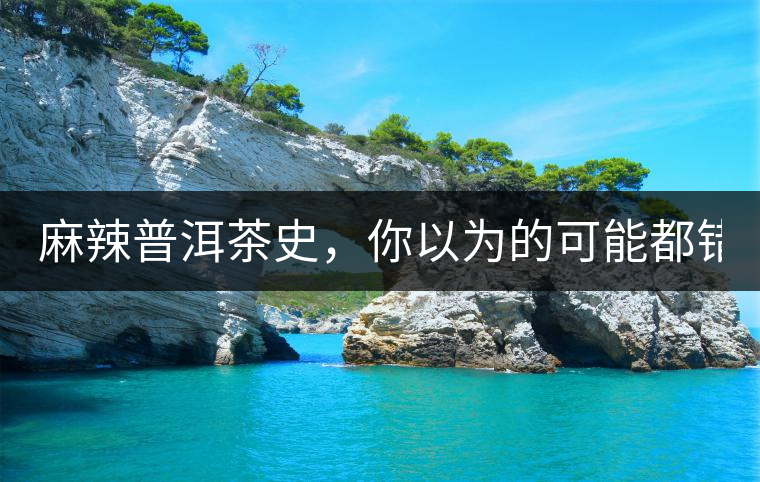 麻辣普洱茶史，你以為的可能都錯了！