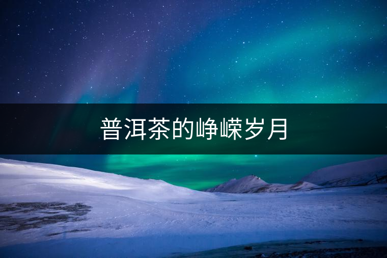 普洱茶的崢嶸歲月