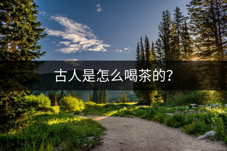 古人是怎么喝茶的？