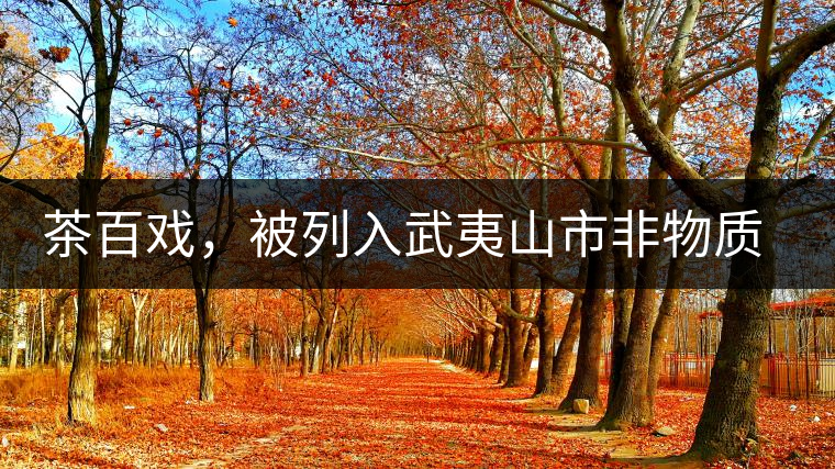 茶百戲,被列入武夷山市非物質(zhì)文化遺產(chǎn)的茶湯 茶百戲,被列入武夷山市非物質(zhì)文化遺產(chǎn)的茶湯