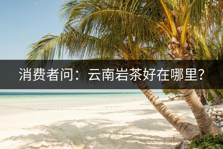 消費(fèi)者問(wèn)：云南巖茶好在哪里？