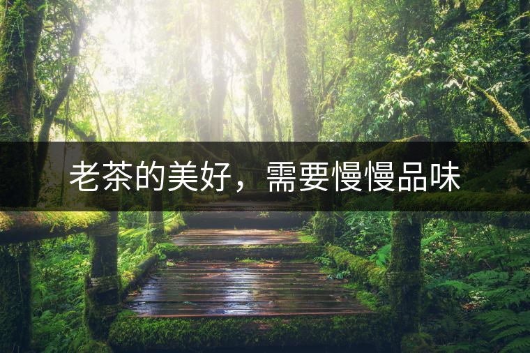 老茶的美好,需要慢慢品味 老茶的美好,需要慢慢品味