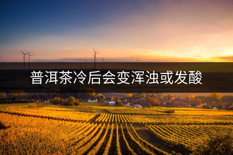 普洱茶冷后會變渾濁或發酸