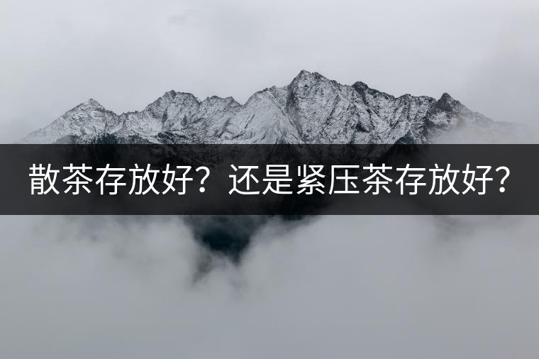 散茶存放好？還是緊壓茶存放好？