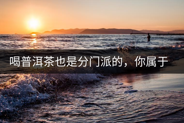 喝普洱茶也是分門派的,你屬于哪派呢? 喝普洱茶也是分門派的,你屬于哪派呢?