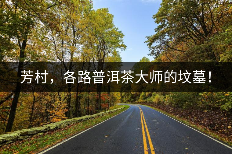 芳村，各路普洱茶大師的墳墓！