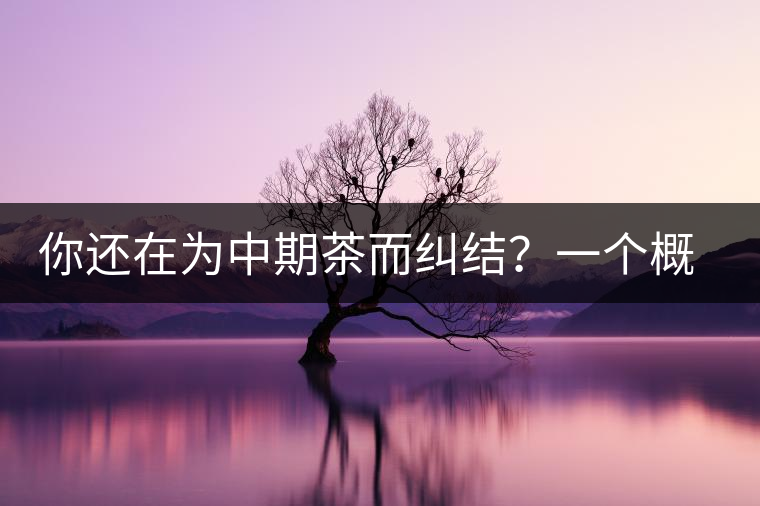 你還在為中期茶而糾結?一個概念罷了 你還在為中期茶而糾結?一個概念罷了