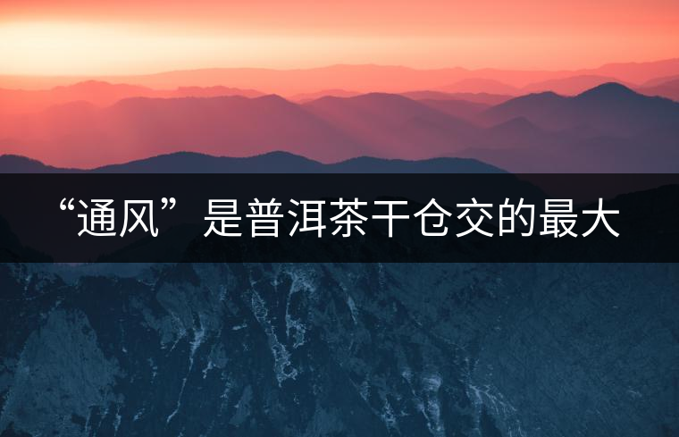 “通風”是普洱茶干倉交的最大學費 “通風”是普洱茶干倉交的最大學費