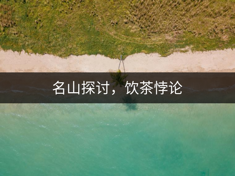 名山探討，飲茶悖論