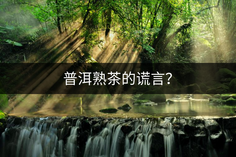 普洱熟茶的謊言? 普洱熟茶的謊言?