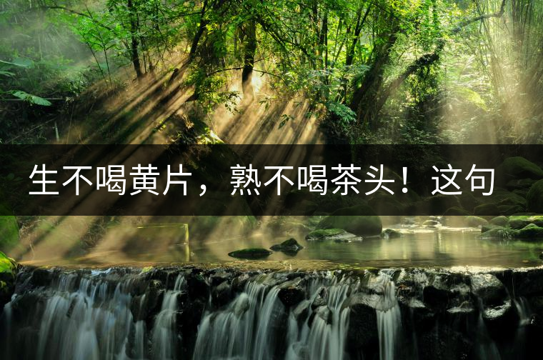 生不喝黃片,熟不喝茶頭!這句話你了解多少? 生不喝黃片,熟不喝茶頭!這句話你了解多少?