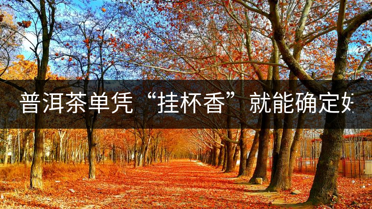 普洱茶單憑“掛杯香”就能確定好壞?you錯了! 普洱茶單憑“掛杯香”就能確定好壞?you錯了!