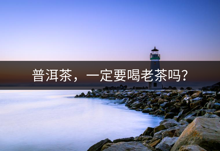 普洱茶，一定要喝老茶嗎？