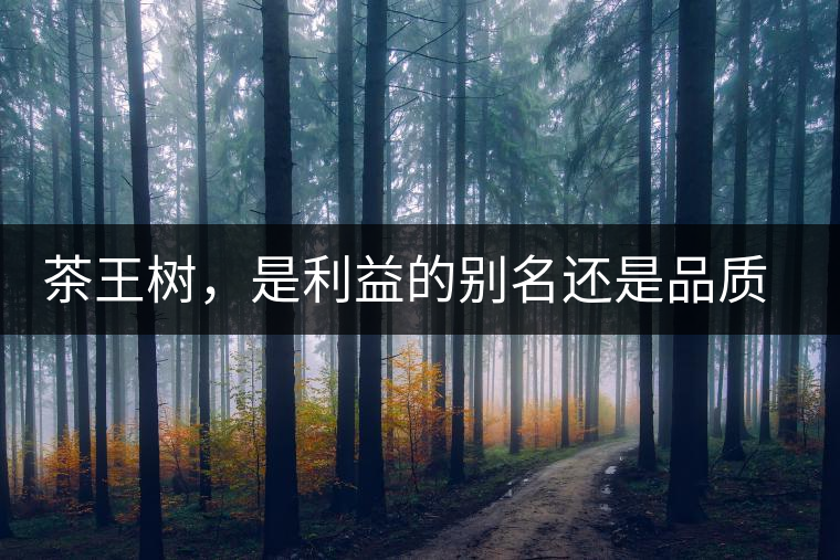 茶王樹,是利益的別名還是品質(zhì)的象征? 茶王樹,是利益的別名還是品質(zhì)的象征?