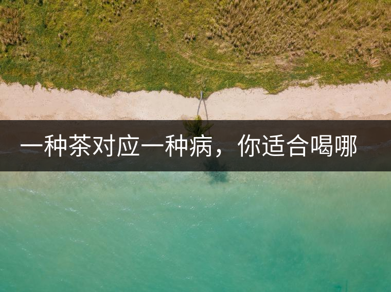一種茶對(duì)應(yīng)一種病，你適合喝哪一種呢？
