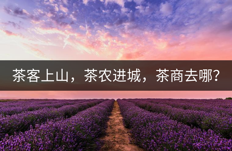 茶客上山,茶農進城,茶商去哪? 茶客上山,茶農進城,茶商去哪?