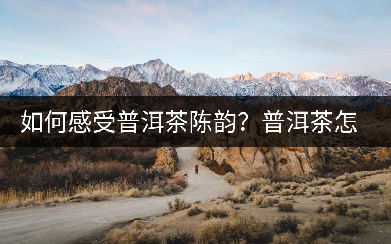 如何感受普洱茶陳韻?普洱茶怎么喝? 如何感受普洱茶陳韻?普洱茶怎么喝?