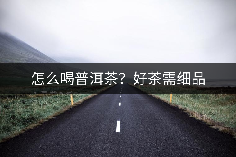 怎么喝普洱茶?好茶需細品 怎么喝普洱茶?好茶需細品