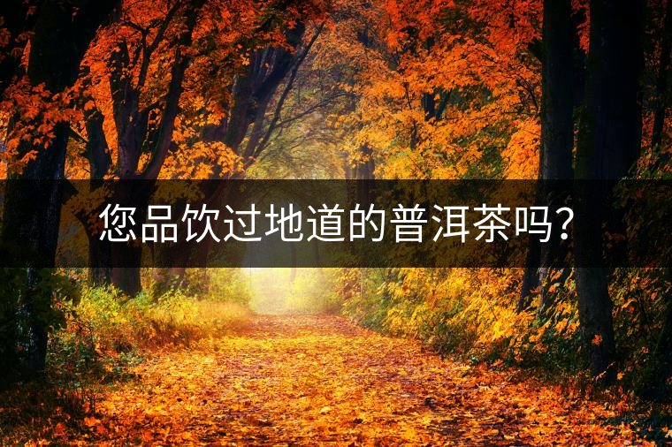 您品飲過地道的普洱茶嗎? 您品飲過地道的普洱茶嗎?