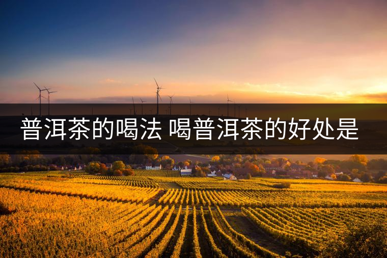 普洱茶的喝法 喝普洱茶的好處是什么? 普洱茶的喝法 喝普洱茶的好處是什么?