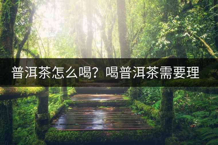 普洱茶怎么喝？喝普洱茶需要理由嗎？