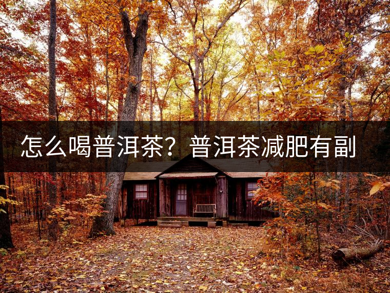怎么喝普洱茶?普洱茶減肥有副作用嗎? 怎么喝普洱茶?普洱茶減肥有副作用嗎?