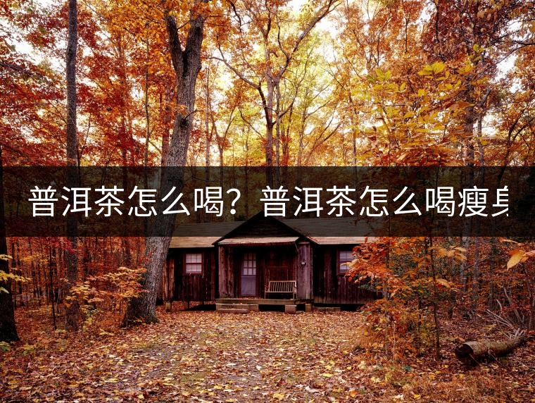 普洱茶怎么喝？普洱茶怎么喝瘦身？