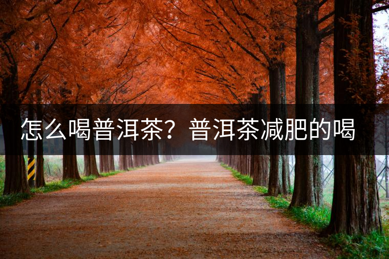 怎么喝普洱茶?普洱茶減肥的喝法 怎么喝普洱茶?普洱茶減肥的喝法