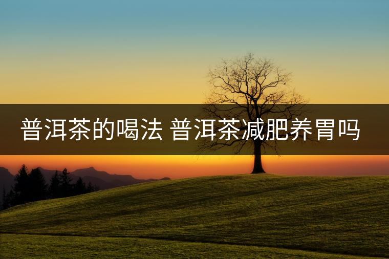 普洱茶的喝法 普洱茶減肥養胃嗎? 普洱茶的喝法 普洱茶減肥養胃嗎?