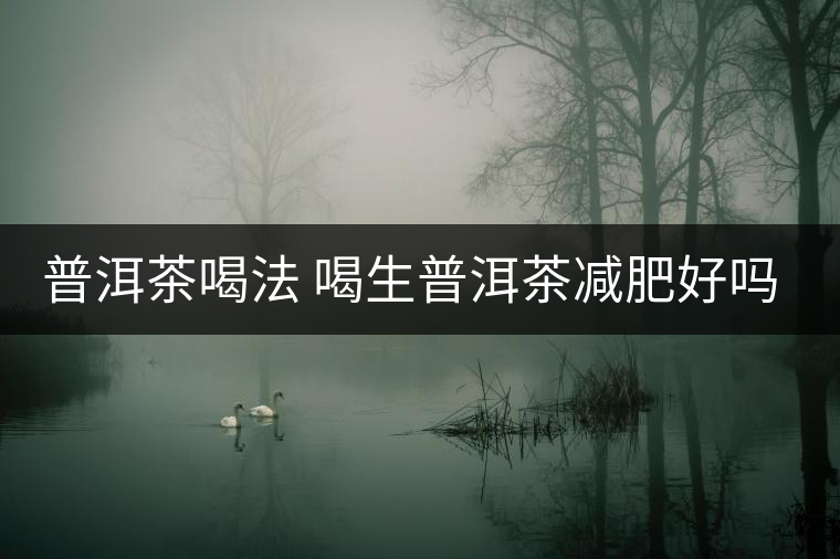 普洱茶喝法 喝生普洱茶減肥好嗎? 普洱茶喝法 喝生普洱茶減肥好嗎?