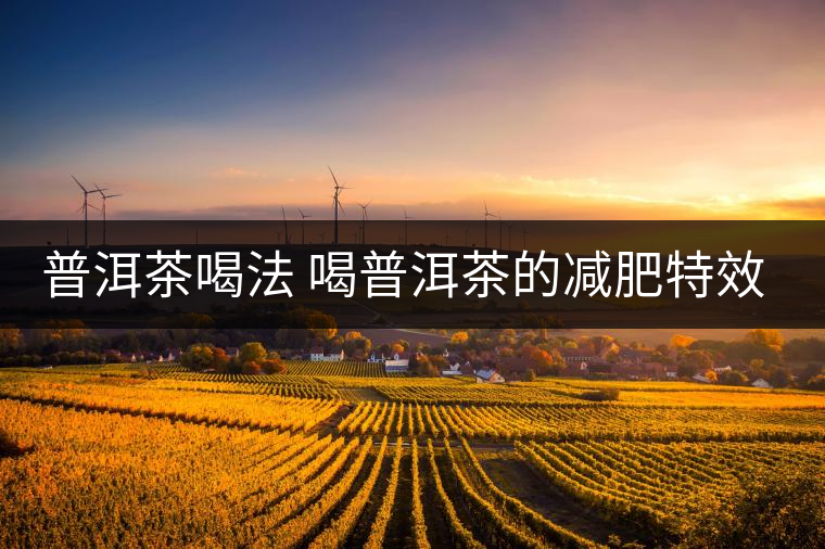 普洱茶喝法 喝普洱茶的減肥特效是什么呢? 普洱茶喝法 喝普洱茶的減肥特效是什么呢?