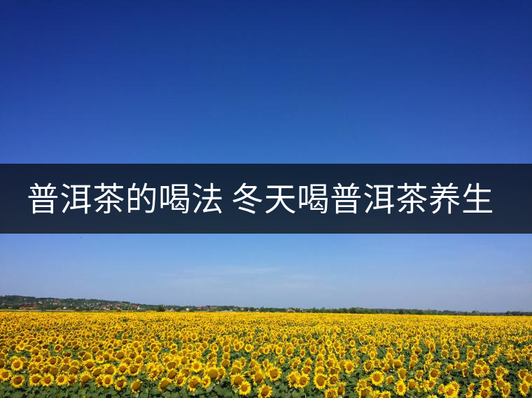 普洱茶的喝法 冬天喝普洱茶養生茶是一種不錯的選擇