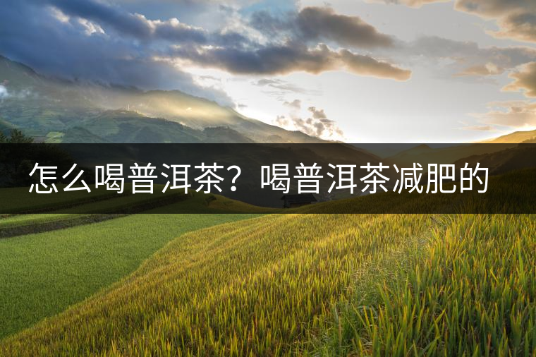 怎么喝普洱茶?喝普洱茶減肥的注意事項 怎么喝普洱茶?喝普洱茶減肥的注意事項