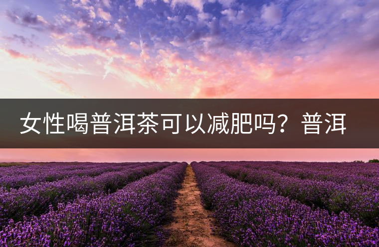 女性喝普洱茶可以減肥嗎？普洱茶的功效又有哪些呢？