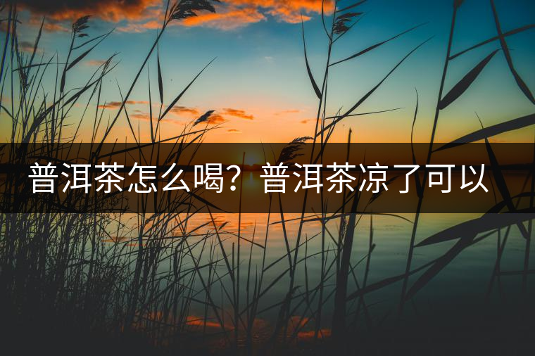 普洱茶怎么喝?普洱茶涼了可以喝嗎? 普洱茶怎么喝?普洱茶涼了可以喝嗎?
