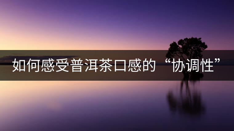 如何感受普洱茶口感的“協調性”？