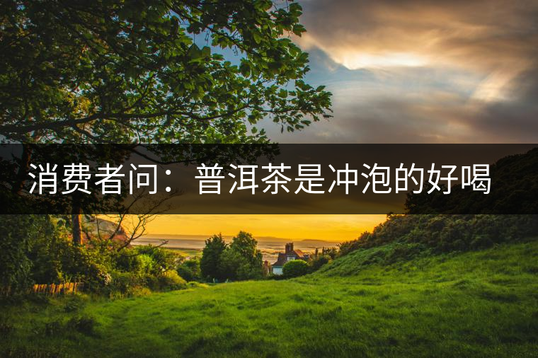 消費者問：普洱茶是沖泡的好喝？還是煮著喝好？