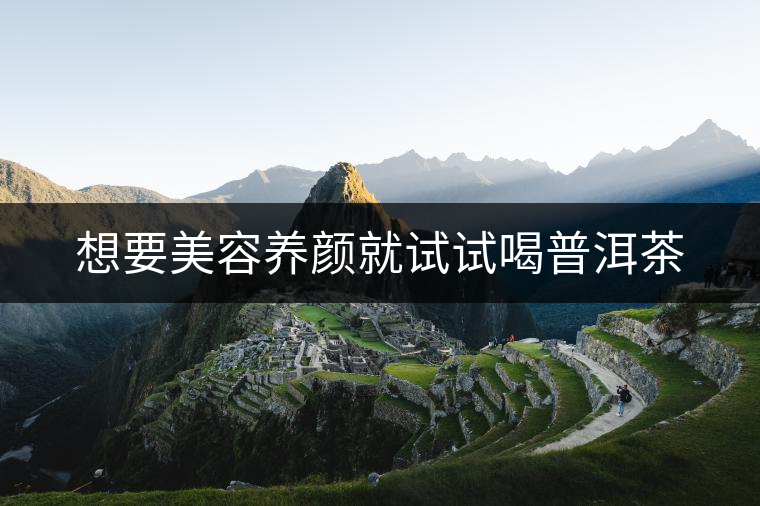 想要美容養顏就試試喝普洱茶