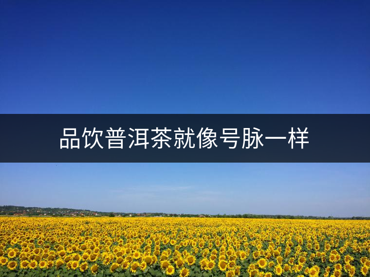 品飲普洱茶就像號脈一樣 品飲普洱茶就像號脈一樣