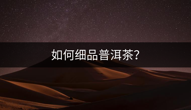 如何細品普洱茶？