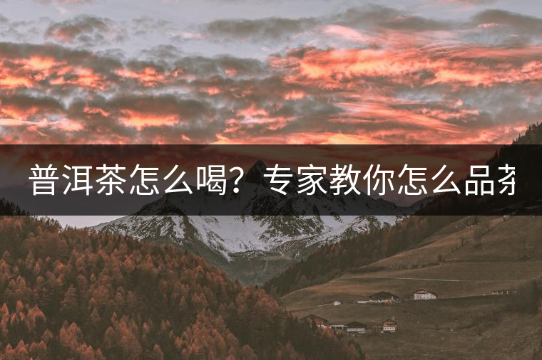 普洱茶怎么喝?專家教你怎么品茶? 普洱茶怎么喝?專家教你怎么品茶?