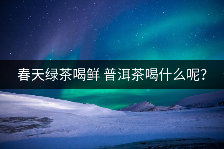 春天綠茶喝鮮 普洱茶喝什么呢? 春天綠茶喝鮮 普洱茶喝什么呢?