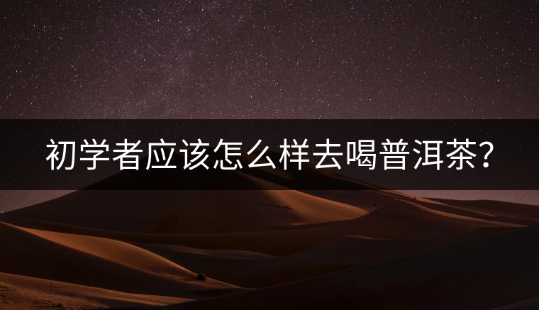 初學(xué)者應(yīng)該怎么樣去喝普洱茶？