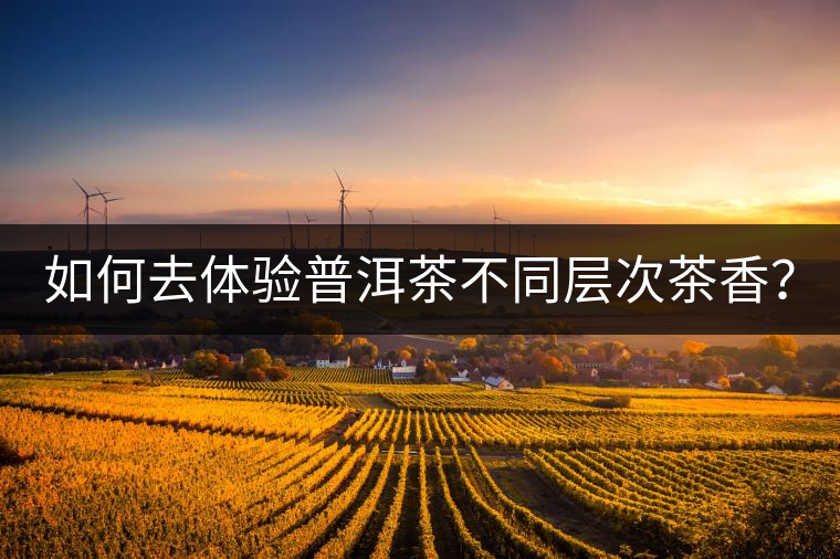 如何去體驗普洱茶不同層次茶香? 如何去體驗普洱茶不同層次茶香?